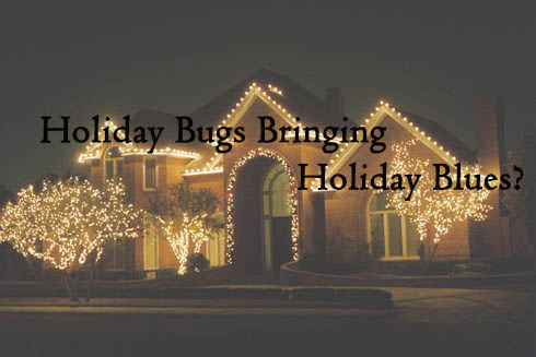Holiday Bugs Bring on Holiday Blues?